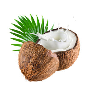 Noix de coco